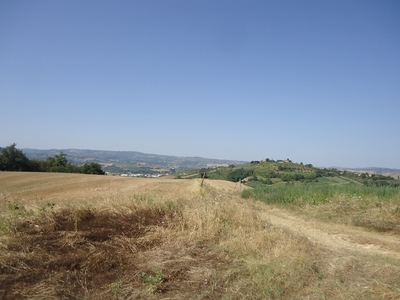 Vendita Rustico/Casale/Corte in CASTELFIORENTINO