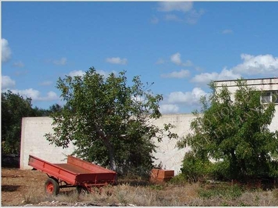 Vendita Rustico/Casale Ostuni