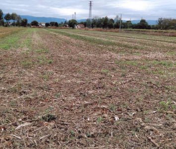 Vendita Terreno Agricolo Cittadella