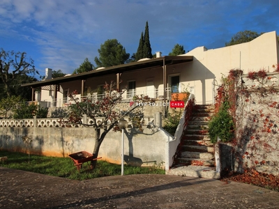Vendita Villa bifamiliare, in zona SELVA DI FASANO, FASANO