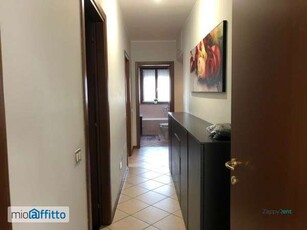 Appartamento arredato con terrazzo Cinisello Balsamo