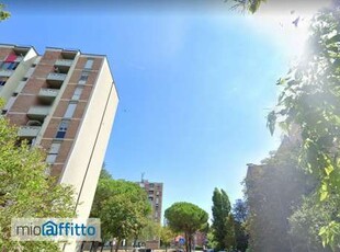 Appartamento arredato con terrazzo Faenza