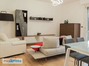 Appartamento arredato con terrazzo San Donato Milanese