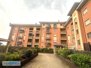 Appartamento con terrazzo Rivalta Di Torino