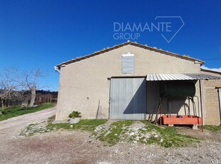 Azienda Agricola in vendita a Scansano