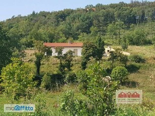 casa arredata con piscina San gottardo