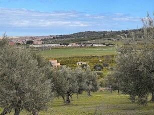Terreno Agricolo in vendita a Carlentini