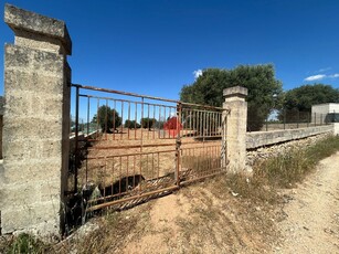 Terreno Agricolo in vendita a Grottaglie