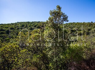 Terreno Agricolo in vendita a Olbia - Porto Rotondo