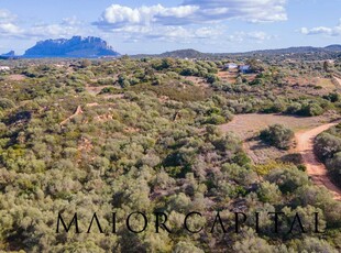 Terreno Agricolo in vendita a Olbia - Porto Rotondo