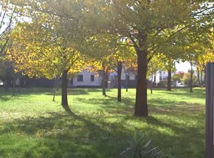 Terreno Agricolo in vendita a Ponzano Veneto - Zona: Ponzano