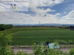 Terreno Agricolo in vendita a San Bonifacio - Zona: Locara