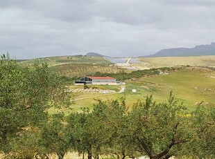 Terreno Agricolo in vendita a Sciacca