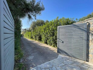 Terreno Agricolo in vendita a Terrasini