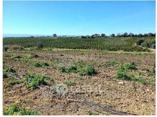 Terreno agricolo in Vendita in a Motta Sant'Anastasia