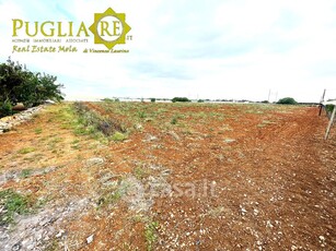 Terreno agricolo in Vendita in Contrada Sant'Egidio a Mola di Bari