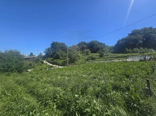 Terreno Agricolo in vendita in localit? peidaigo 64, Ventimiglia