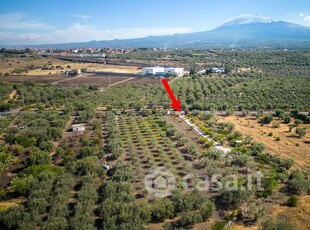 Terreno agricolo in Vendita in Località Valcorrente 3 a Belpasso