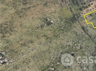 Terreno agricolo in Vendita in Strada Intercomunale 12 a Altavilla Milicia