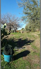 Terreno agricolo in Vendita in Strada senza nome a Ragalna