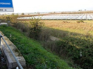 Vendesi Terreno Agricolo a Frignano laterale superstrada asse mediano villa literno - nola in zona campagna libero