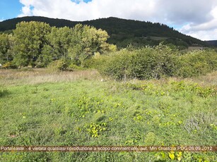 Vendita Terreno Agricolo in URBINO