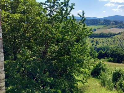 Rustico con giardino in via le monache, Bibbiena