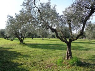 Agriturismo in Vendita