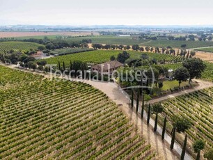Montepulciano - Azienda vinicola con struttura ricettiva in vendita