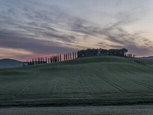 Monteverdi Marittimo - Bellissima azienda agricola in vendita