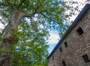 MULINO DA RESTAURARE IN VENDITA IN TOSCANA