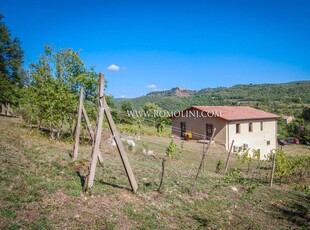 ORVIETO, UMBRIA: CANTINA CON 4,5 HA DI VIGNETI IN VENDITA