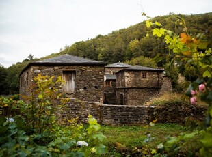 Quadrilocale in affitto a Carmignano