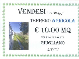 Terreno Agricolo in vendita a Giugliano in Campania