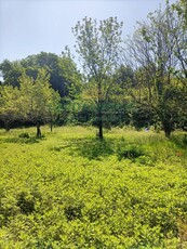 Terreno Agricolo in vendita a Mercato San Severino