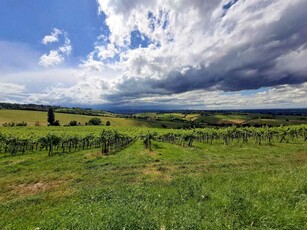 Terreno Agricolo in vendita a Valsamoggia