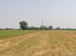 Terreno Edificabile Residenziale in affitto a Piazzola sul Brenta