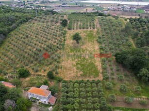 Terreno in Vendita ad Capaccio Paestum - 65000 Euro