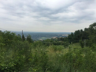 TERRENO PANORAMICO A PIGAZZANO