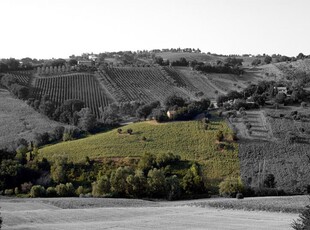 Vendesi Terreno Agricolo a Castel Colonna via montesaltello in zona campagna libero