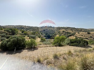 Vendita Terreno