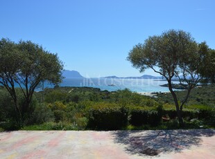 Villa a Golfo Aranci in Cala sassari