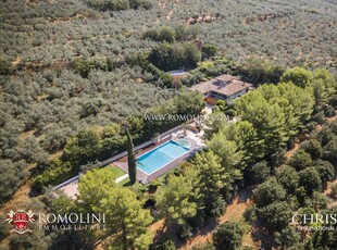 VILLA MODERNA CON OLIVETO IN VENDITA IN UMBRIA, ASSISI