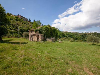 Vendita Rustico Casciana Terme Lari