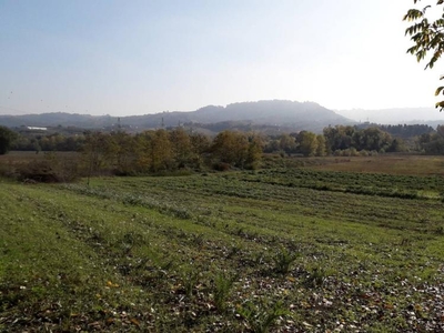 terreno agricolo in vendita a Cepagatti
