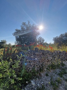 terreno agricolo in vendita a Oria