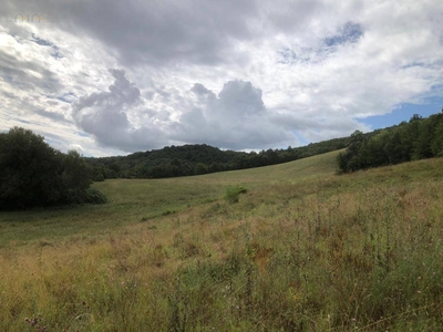 Terreno in vendita, Rotella collinare