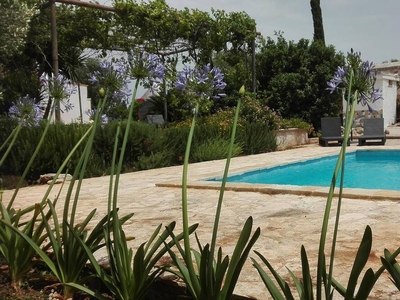 Trulli splendidamente restaurati con piscina privata di 10x5 metri, aria condizionata e connessione Wi-Fi