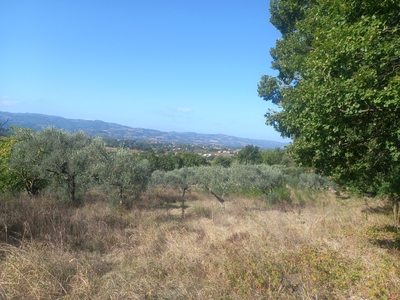 Terreno Agricolo in vendita a Gubbio