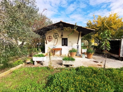 Appartamento in vendita a Bassano In Teverina Viterbo